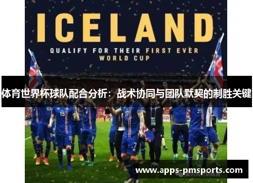 体育世界杯球队配合分析：战术协同与团队默契的制胜关键